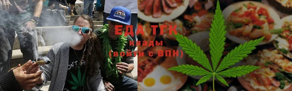 прущие грибы Верхний Тагил
