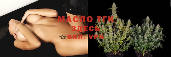 прущие грибы Верхний Тагил