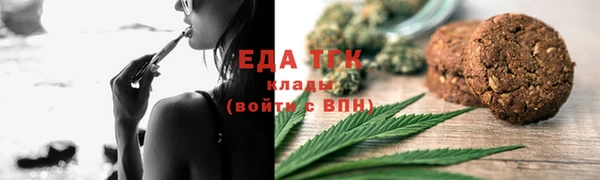 прущие грибы Верхний Тагил