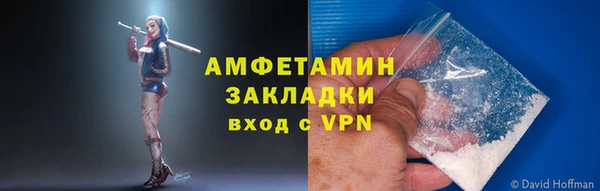 прущие грибы Верхний Тагил