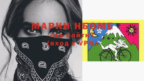 прущие грибы Верхний Тагил