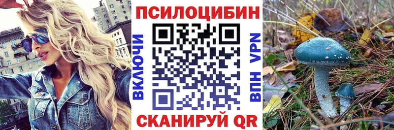 Галлюциногенные грибы Psilocybe  где купить наркоту  Клинцы 